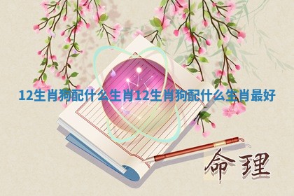 12生肖狗配什么生肖 12生肖狗配什么生肖最好