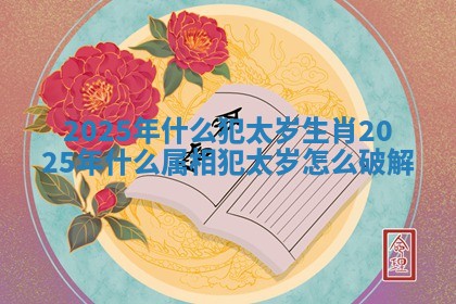 2025年什么犯太岁生肖_2025年什么属相犯太岁怎么破解