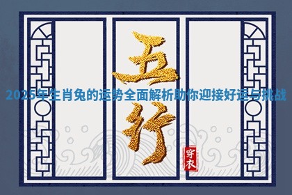 2025年生肖兔的运势全面解析助你迎接好运与挑战