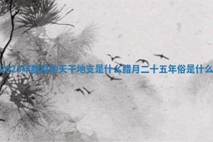 2025年腊月的天干地支是什么 腊月二十五年俗是什么