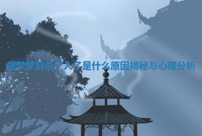 做梦梦到杀了人了是什么原因揭秘与心理分析