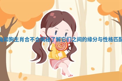 兔和狗生肖合不合揭秘 了解它们之间的缘分与性格匹配