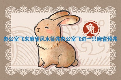 办公室飞来麻雀风水征兆_办公室飞进一只麻雀预兆