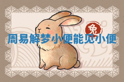 周易解梦小便_能见小便