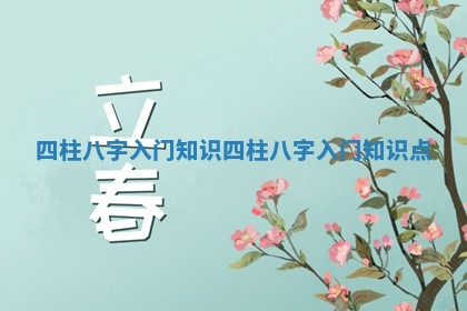 四柱八字入门知识_四柱八字入门知识点 四柱八字入门知识_四柱八字入门知识点