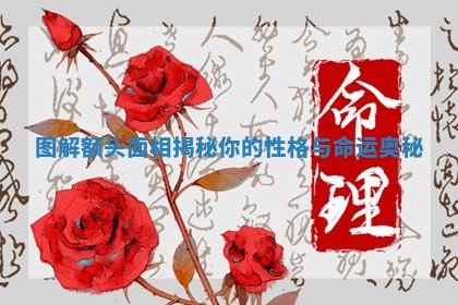 图解额头面相揭秘你的性格与命运奥秘 图解额头面相揭秘你的性格与命运奥秘