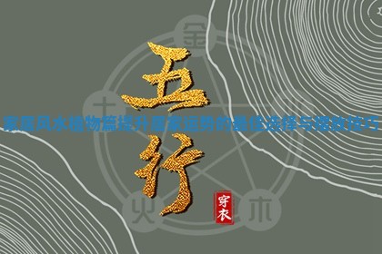 家居风水植物篇提升居家运势的最佳选择与摆放技巧
