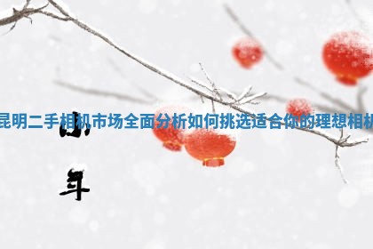 昆明二手相机市场全面分析 如何挑选适合你的理想相机 昆明二手相机市场全面分析 如何挑选适合你的理想相机