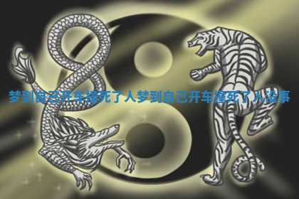 梦到自己开车撞死了人_梦到自己开车撞死了人没事