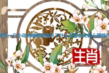 梦见一只小动物缠着我揭示了什么深层含义和心理暗示 梦见一只小动物缠着我揭示了什么深层含义和心理暗示