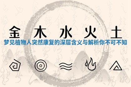 梦见植物人突然康复的深层含义与解析你不可不知