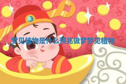 梦见植物是什么预兆_做梦梦见植物 梦见植物是什么预兆_做梦梦见植物