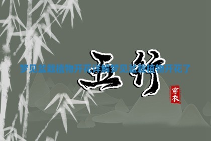 梦见盆栽植物开花详解_梦见盆栽植物开花了
