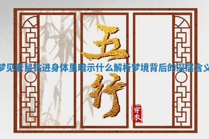 梦见老鼠钻进身体里暗示什么 解析梦境背后的深层含义