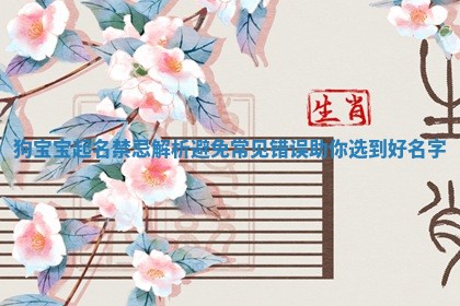 狗宝宝起名禁忌解析避免常见错误助你选到好名字