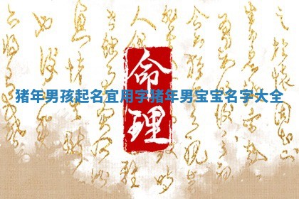 猪年男孩起名宜用字_猪年男宝宝名字大全
