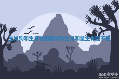 生肖狗和生肖鼠相配吗_狗生肖和鼠生肖配不配
