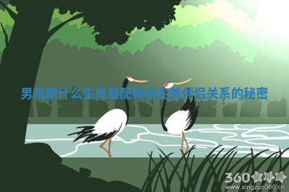 男鸡跟什么生肖最配揭晓完美伴侣关系的秘密 男鸡跟什么生肖最配揭晓完美伴侣关系的秘密