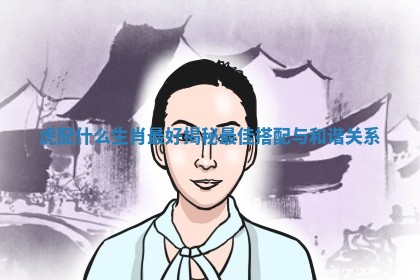 虎配什么生肖最好揭秘最佳搭配与和谐关系