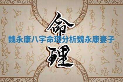魏永康八字命理分析 魏永康妻子