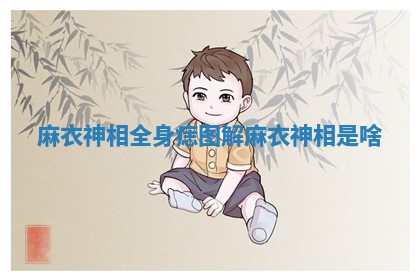 麻衣神相全身痣图解_麻衣神相是啥