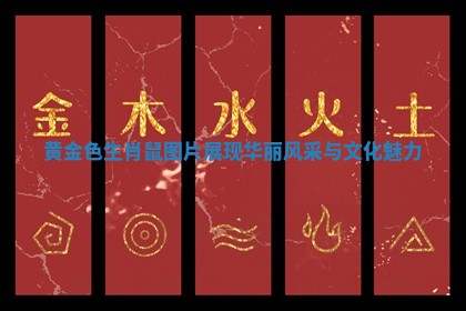黄金色生肖鼠图片展现华丽风采与文化魅力